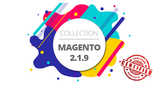 Best Magento 219 Themes 2017