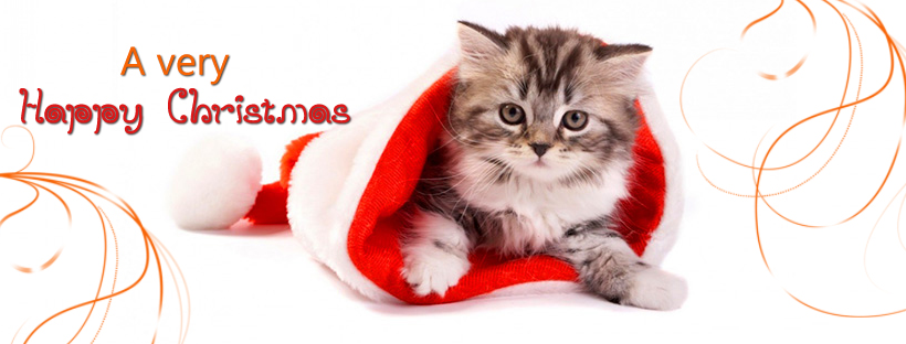Best 10 Merry Christmas Facebook Cover Photos